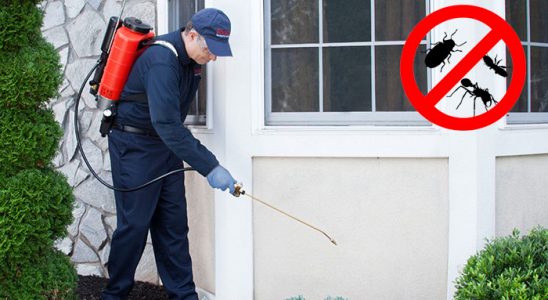 Koyulhisar Bit İlaçlama böcek ilaçlama ve haşere kontrolü — ilaclama-tr.com